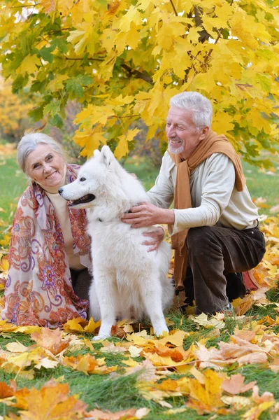 Feliz Casal Sênior Parque Outono Com Cão — Fotografia de Stock