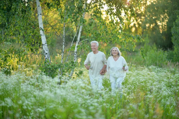 Gyönyörű Senior Házaspár Pózol Parkban — Stock Fotó