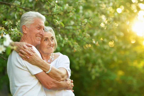 Beautiful Senior Couple Hugging Park — Stock Photo, Image