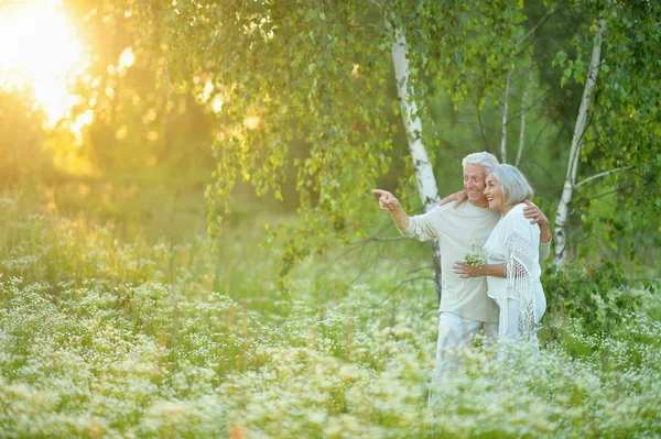 美丽的老年夫妇在公园里摆姿势 人指着手指 — 图库照片