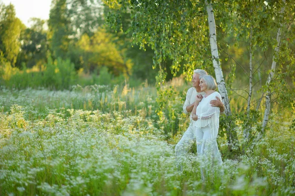 美丽的老年夫妇在公园里摆姿势 — 图库照片