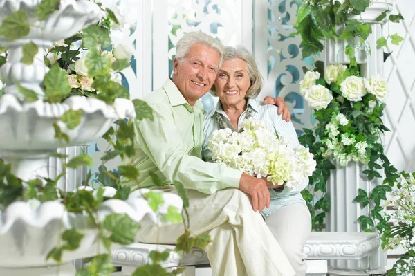 Feliz Pareja Ancianos Posando Casa — Foto de Stock