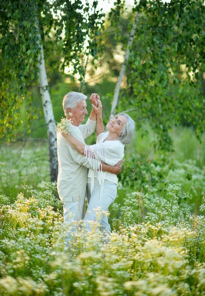 Счастливая Пожилая Пара Танцует Летнем Парке — стоковое фото