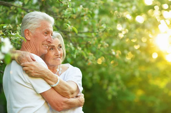 美丽的老年夫妇拥抱在公园里 — 图库照片