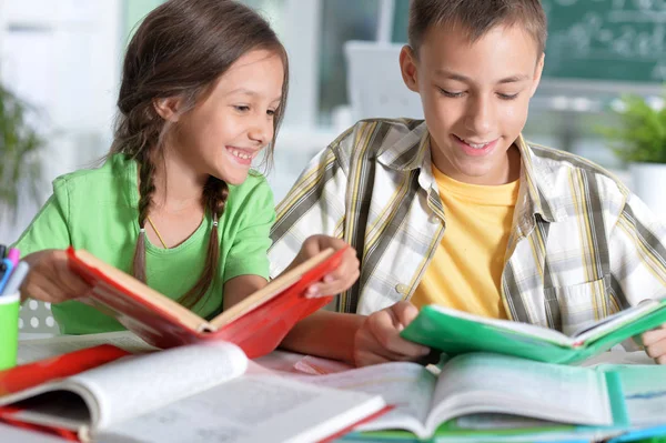 Broer Zus Samen Huiswerk Maken — Stockfoto