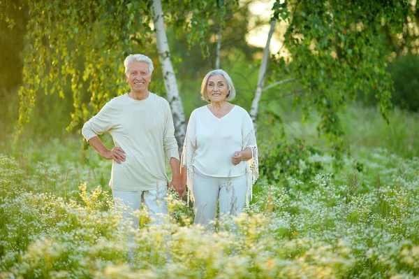 Vackra Senior Par Poserar Parken — Stockfoto