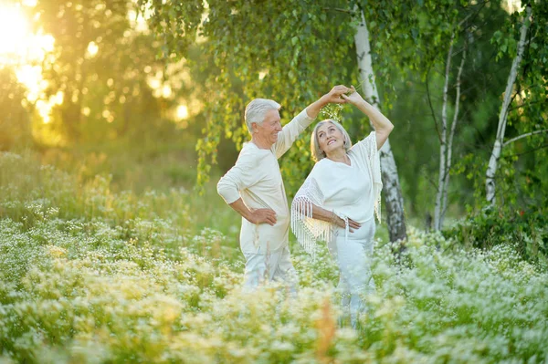 Feliz Pareja Ancianos Bailando Parque Verano — Foto de Stock