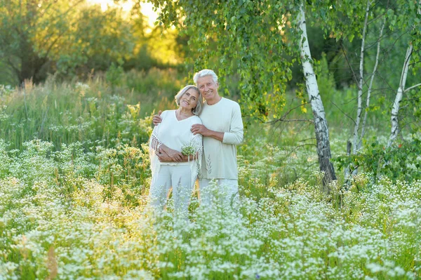 Parkta Güzel Kıdemli Çift Sarılmak — Stok fotoğraf