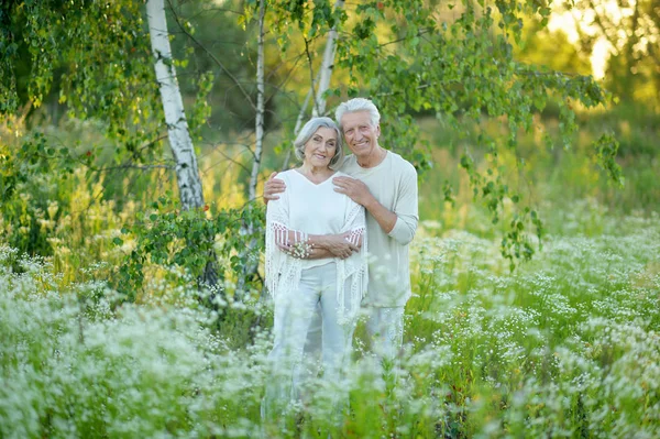 Bella Coppia Anziani Posa Nel Parco — Foto Stock