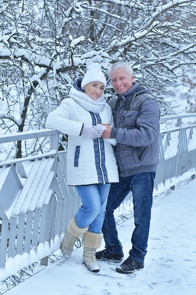 Šťastný Starší Pár Zimě Venku — Stock fotografie