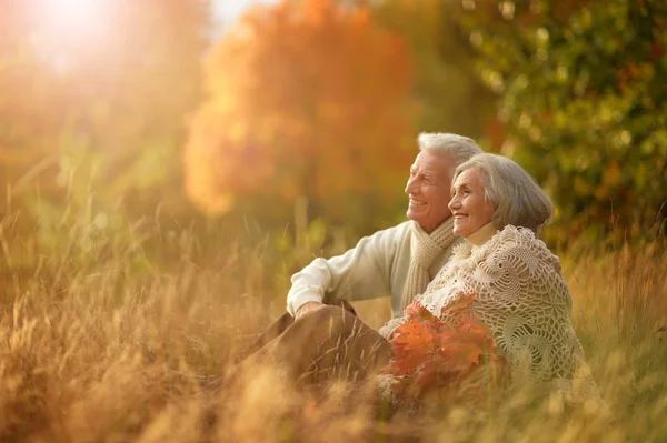 Glückliche Seniorin Und Mann Park — Stockfoto