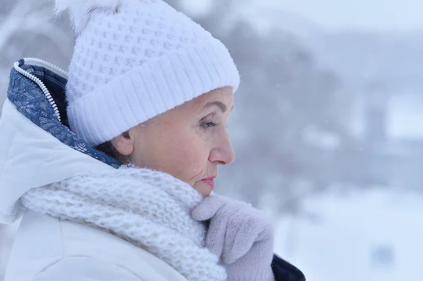 Piękna Kobieta Senior Pozowanie Zewnątrz Zimie — Zdjęcie stockowe