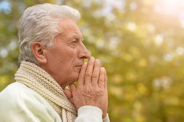 Porträt Eines Denkenden Seniors Park Beim Beten — Stockfoto