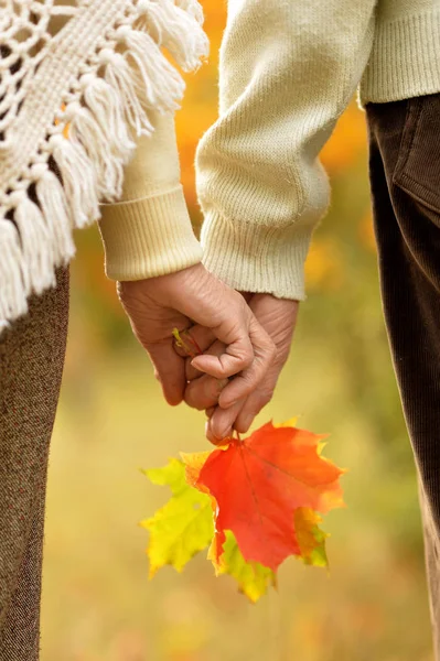 Paar Bedrijf Handen Samen Achtergrond Van Park — Stockfoto