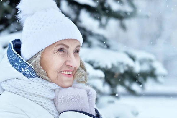 Красивая Пожилая Женщина Позирует Открытом Воздухе Зимой — стоковое фото
