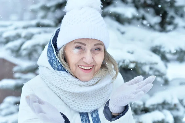 Красива Старша Жінка Позує Відкритому Повітрі Взимку — стокове фото