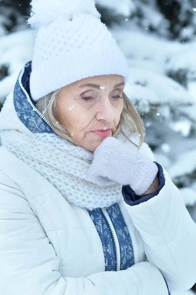 Piękna Kobieta Senior Pozowanie Zewnątrz Zimie — Zdjęcie stockowe