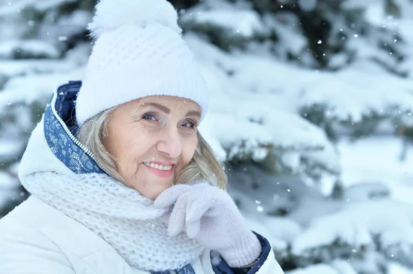 Bela Mulher Sênior Posando Livre Inverno — Fotografia de Stock