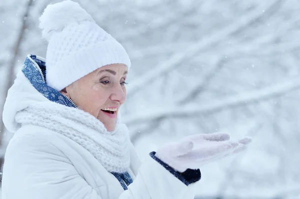 Heureuse Femme Âgée Posant Extérieur Hiver — Photo