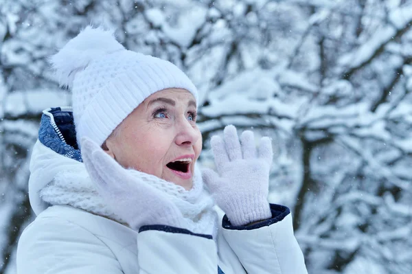 Bela Mulher Sênior Posando Livre Inverno — Fotografia de Stock