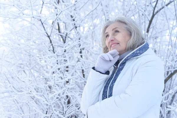 Glad Vacker Senior Kvinna Poserar Snöig Vinter Park — Stockfoto