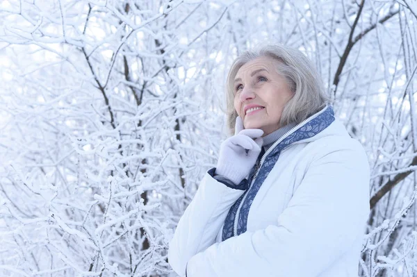 快乐美丽的老年女子在雪地的冬日公园里摆姿势 — 图库照片
