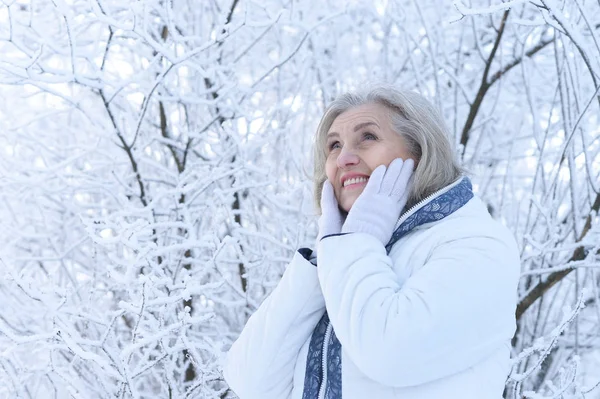 Ευτυχισμένη Όμορφη Ηλικιωμένη Γυναίκα Που Ποζάρει Στο Χιονισμένο Χειμερινό Πάρκο — Φωτογραφία Αρχείου
