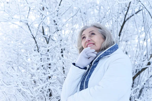 Szczęśliwy Piękny Starszy Kobieta Pozowanie Śnieżny Zimowy Park — Zdjęcie stockowe