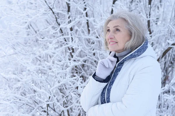 Glückliche Schöne Seniorin Posiert Verschneiten Winterpark — Stockfoto