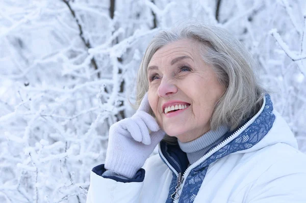 Glückliche Schöne Seniorin Posiert Verschneiten Winterpark — Stockfoto