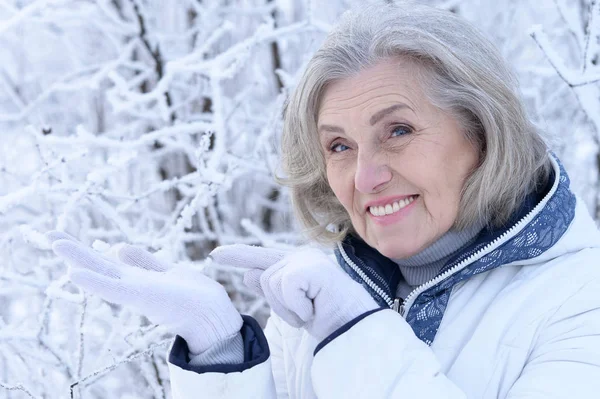 快乐美丽的老年女子在雪地的冬日公园里摆姿势 — 图库照片