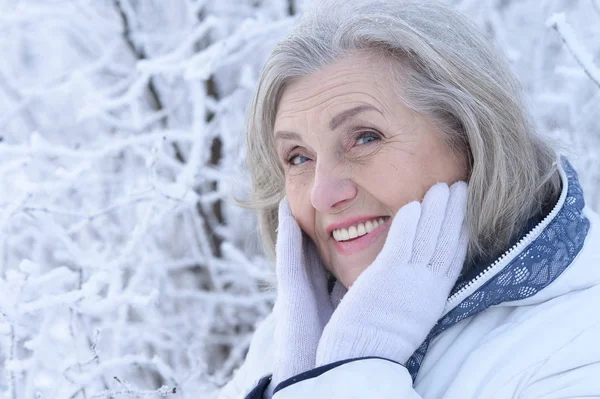 Glad Vacker Senior Kvinna Poserar Snöig Vinter Park — Stockfoto