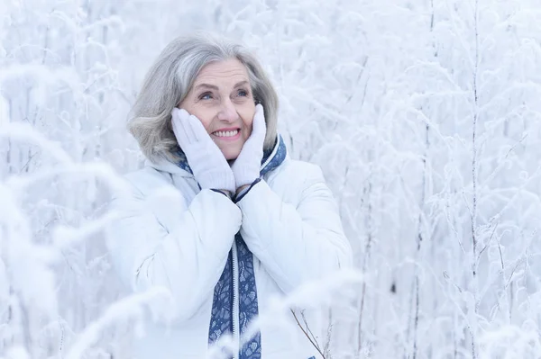 Feliz Hermosa Mujer Mayor Posando Parque Invierno Nevado —  Fotos de Stock