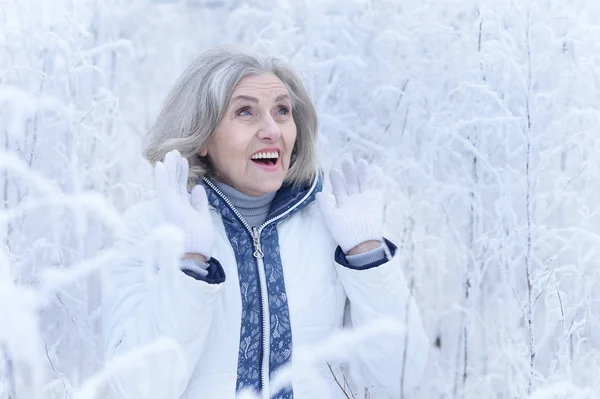 Felice Bella Donna Anziana Posa Nel Parco Invernale Innevato — Foto Stock