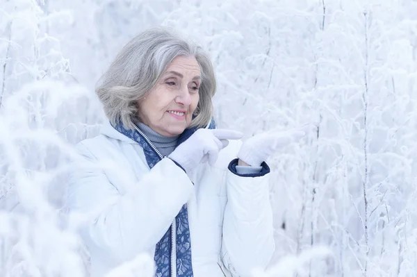 Glückliche Schöne Seniorin Posiert Verschneiten Winterpark — Stockfoto