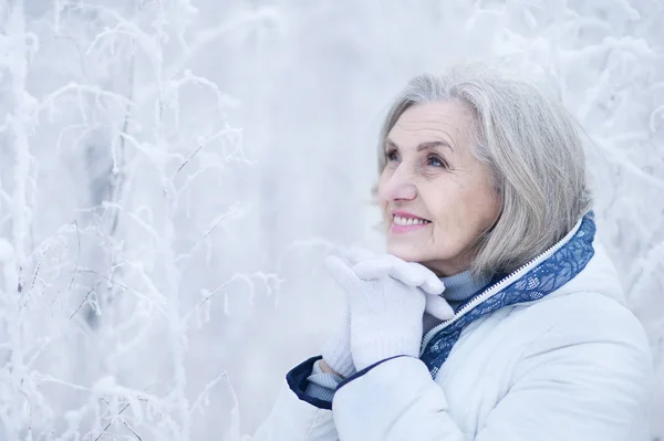 Gelukkig Mooi Senior Vrouw Poseren Besneeuwde Winter Park — Stockfoto