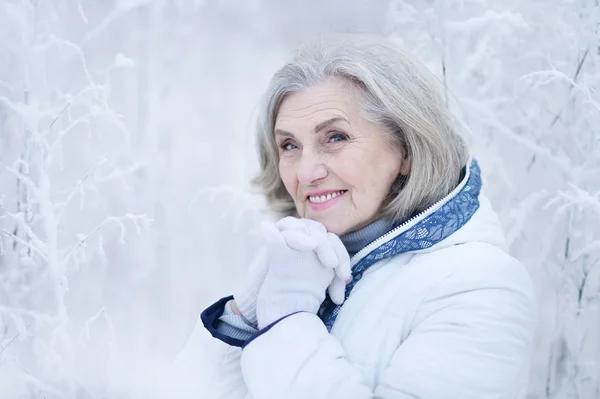 快乐美丽的老年女子在雪地的冬日公园里摆姿势 — 图库照片