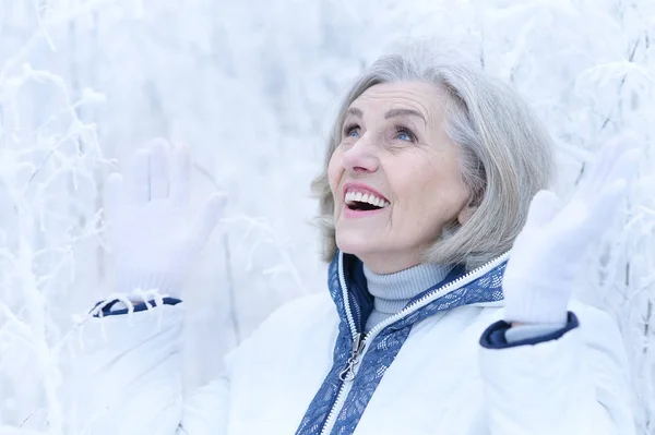 Felice Bella Donna Anziana Posa Nel Parco Invernale Innevato — Foto Stock