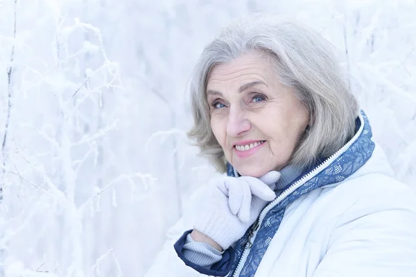 快乐美丽的老年女子在雪地的冬日公园里摆姿势 — 图库照片