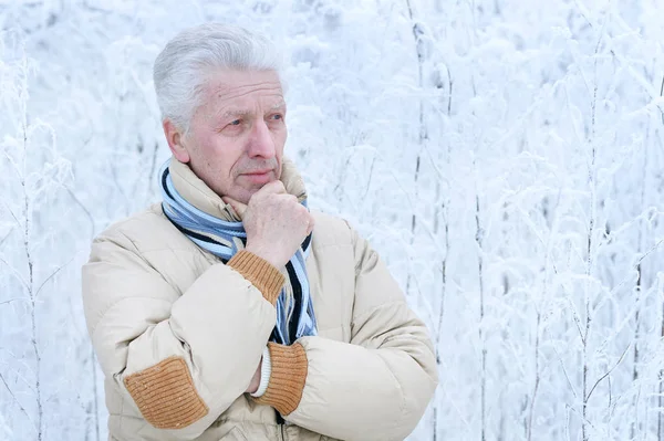 Porträt Eines Nachdenklichen Seniors Der Winter Draußen Steht — Stockfoto
