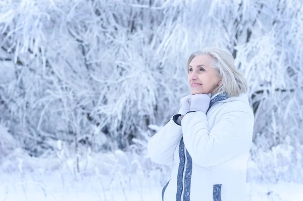 Ευτυχισμένη Όμορφη Ηλικιωμένη Γυναίκα Που Ποζάρει Στο Χιονισμένο Χειμερινό Πάρκο — Φωτογραφία Αρχείου