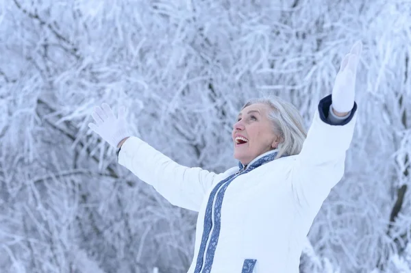 Szczęśliwy Piękny Starszy Kobieta Pozowanie Śnieżny Zimowy Park — Zdjęcie stockowe