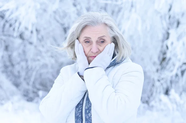 悲伤美丽的老妇人在雪地的冬日公园里摆姿势 — 图库照片