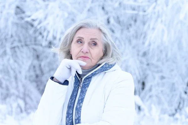 Karlı Kış Parkında Poz Veren Güzel Yaşlı Bir Kadın — Stok fotoğraf