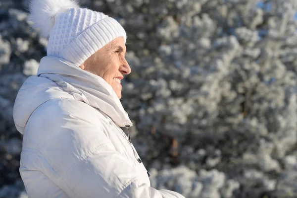 雪の冬の公園でポーズ幸せな美しいシニア女性 — ストック写真