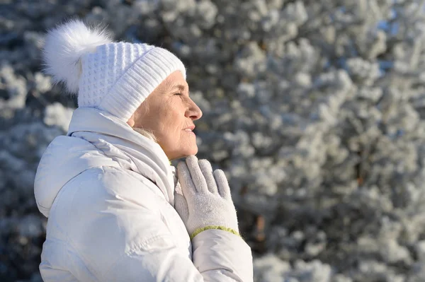 Piękna Seniorka Ciepłym Kapeluszu Modląca Się Śnieżnym Zimowym Parku — Zdjęcie stockowe