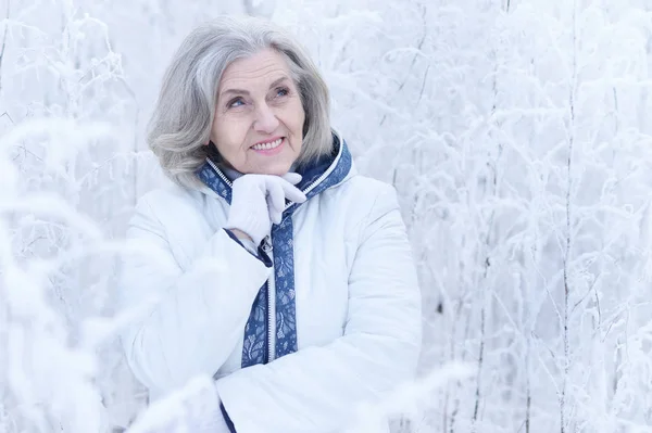 Feliz Bela Mulher Sênior Posando Parque Inverno Nevado — Fotografia de Stock