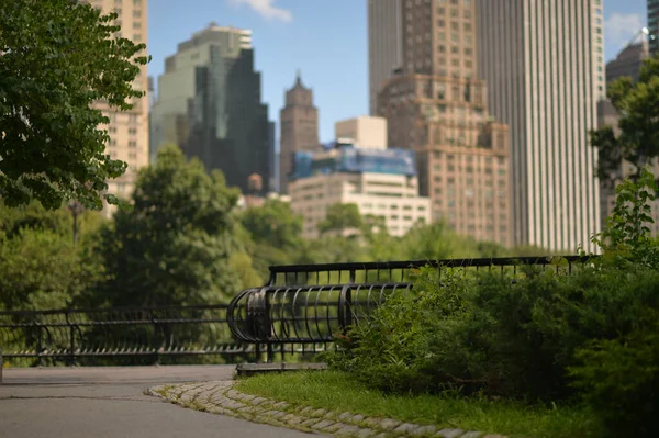 Park New York City Usa — Stockfoto