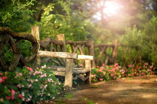 Деревянная Скамейка Красивом Парке Летом — стоковое фото