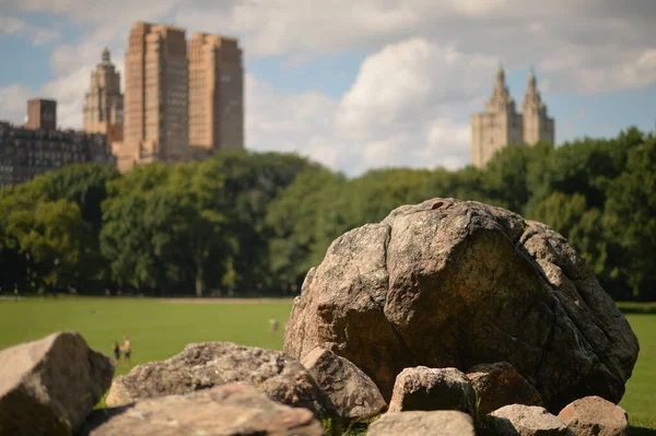 Parque Ciudad Nueva York Estados Unidos —  Fotos de Stock